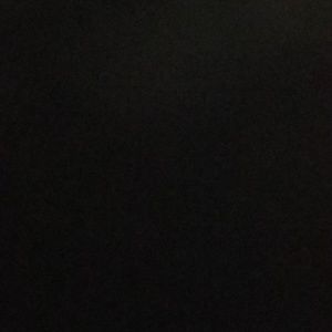 Meet your Posher, Wayne